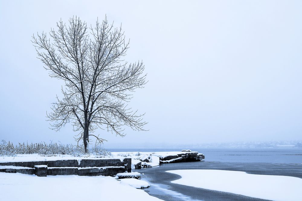 Photograph by Alexander Nazarina