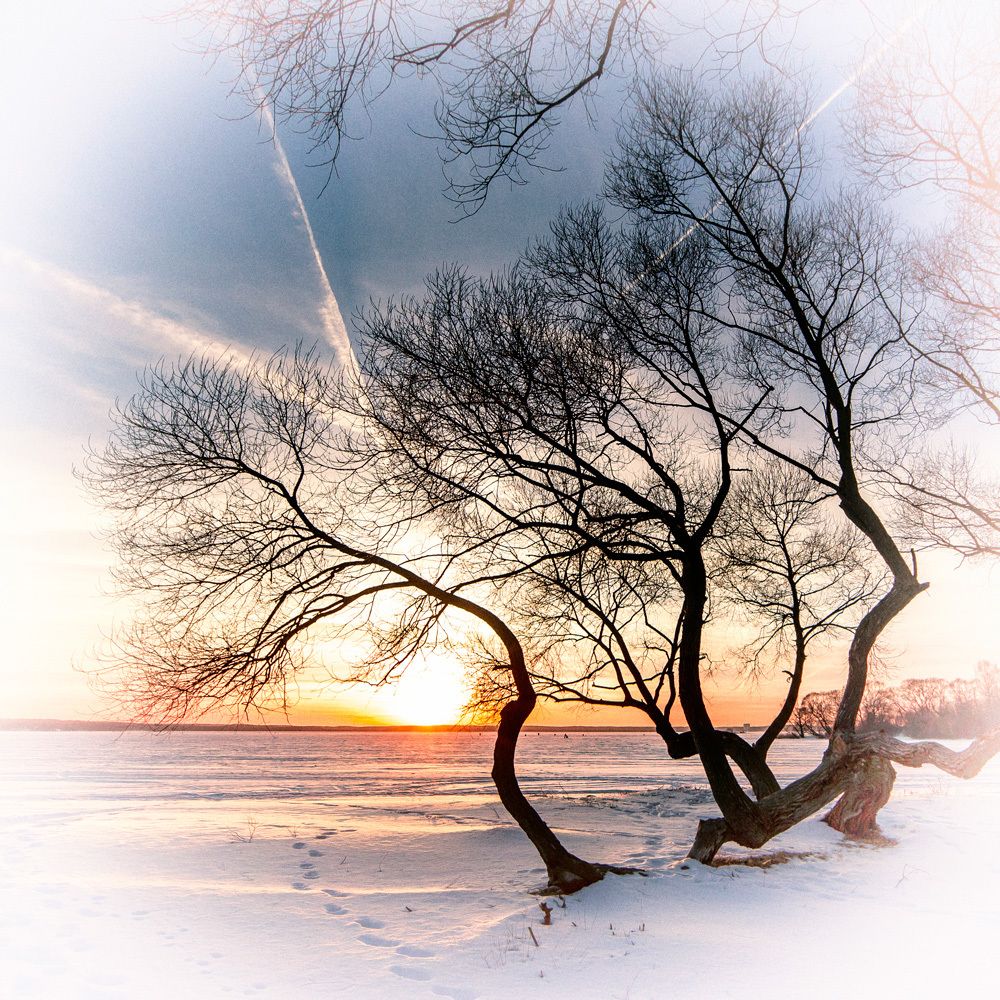 Берег Минского моря