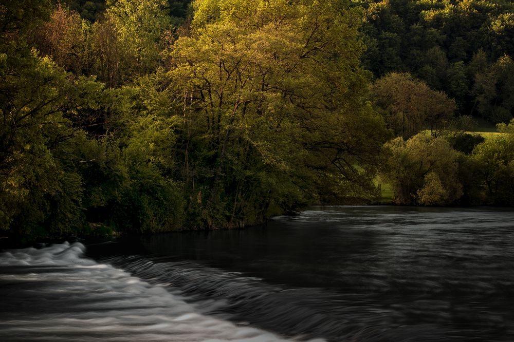 Summer, the Krka River, Slovenia, 2017