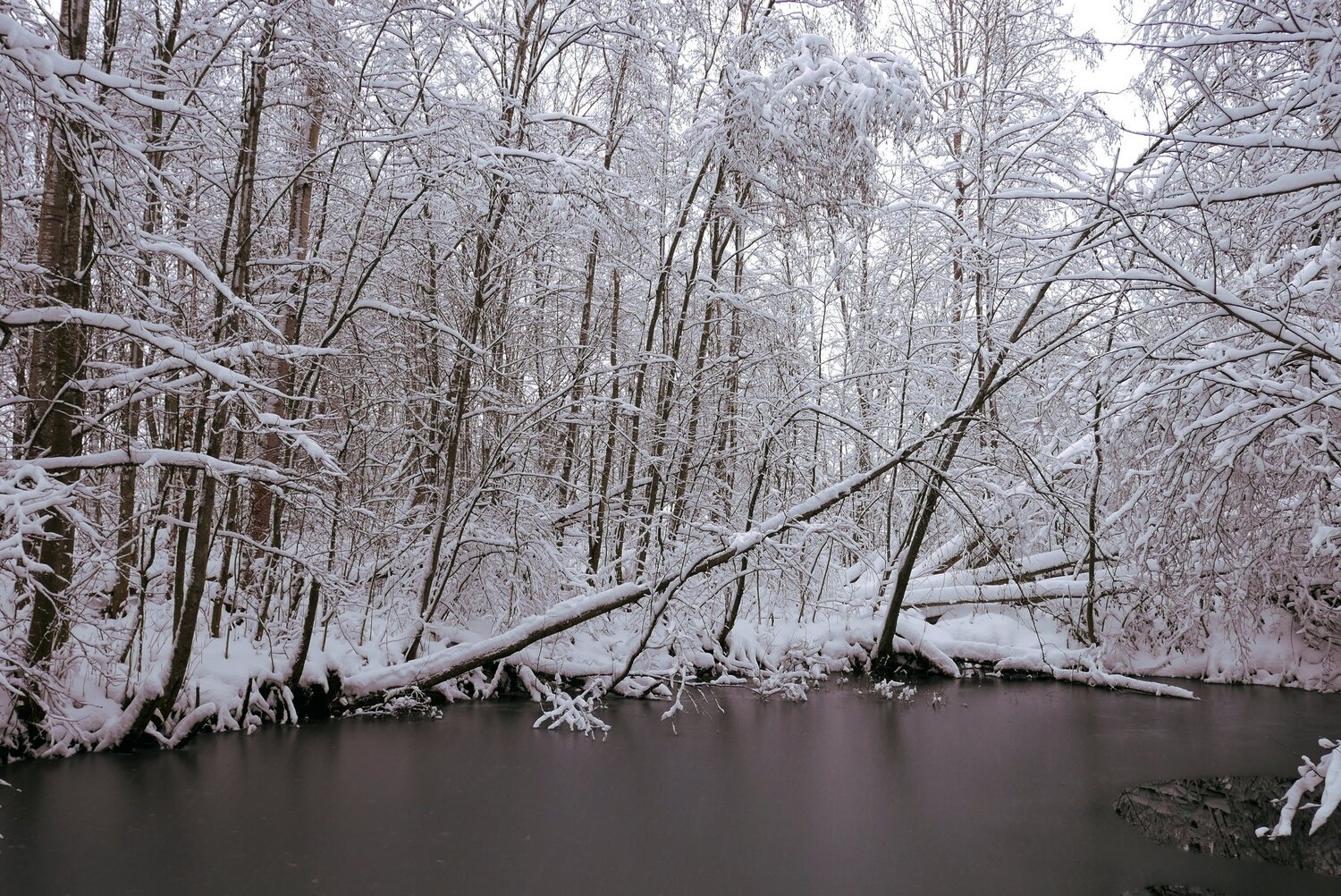 Photo #2899764