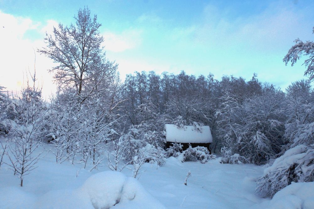 Photo #2899774
