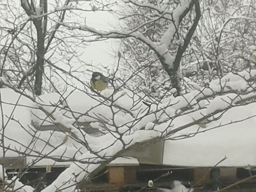 Photograph by Рутковская Жанна