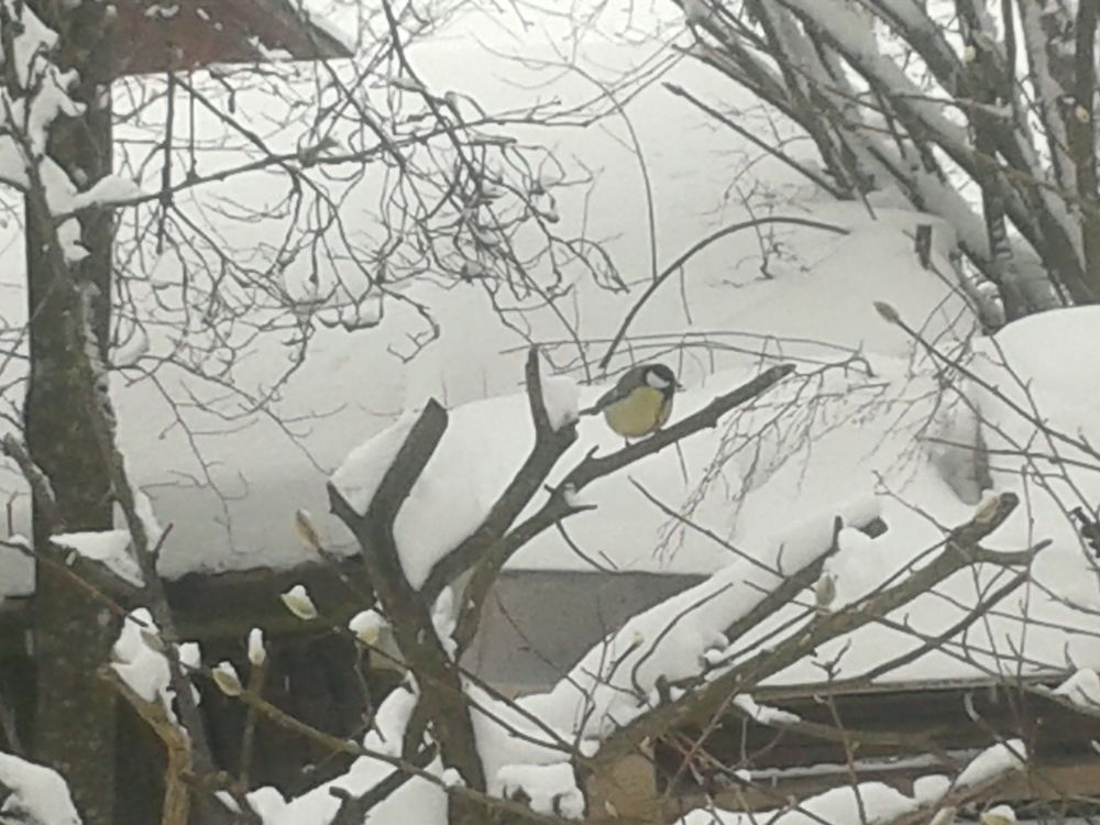 Photograph by Рутковская Жанна