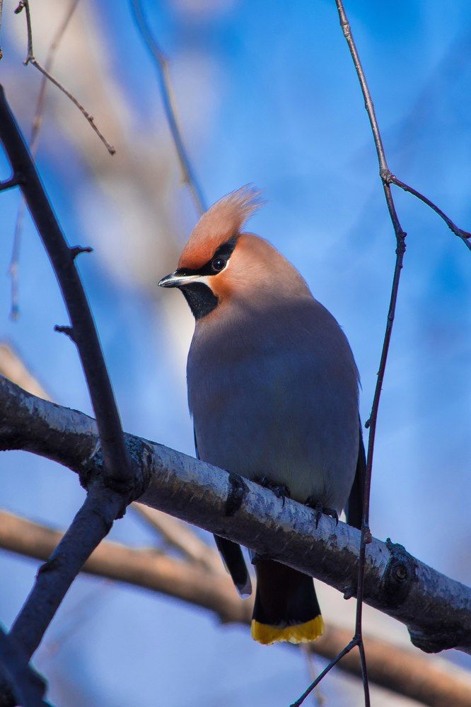 Photograph by Andrey Chuntomov