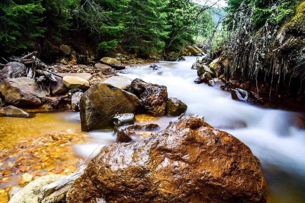 Photograph by marian badaluta