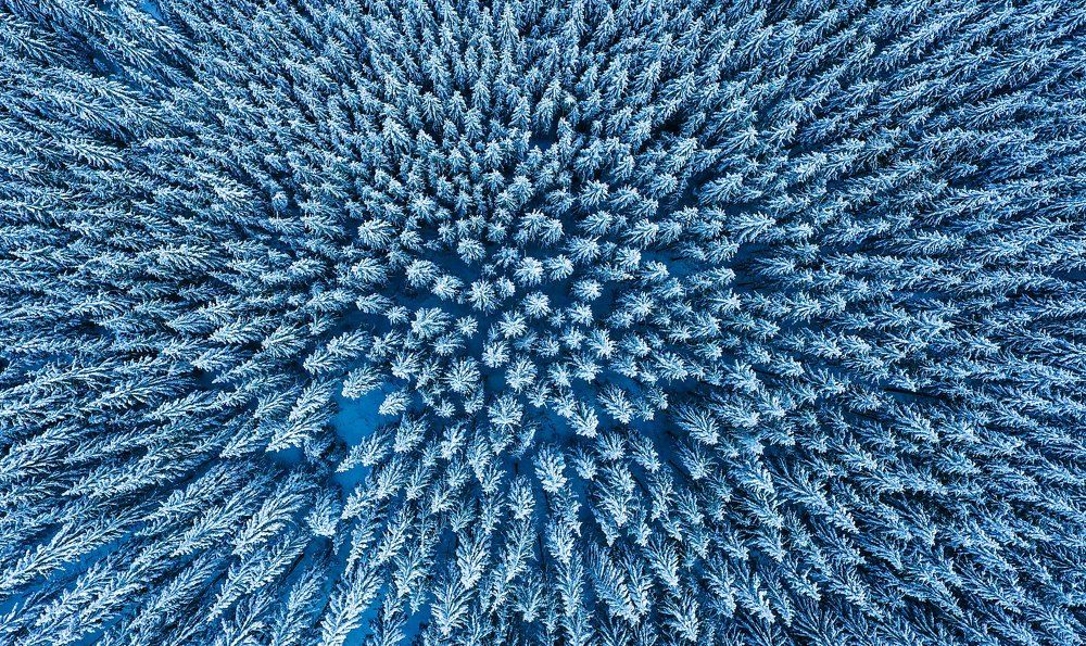 Photograph by marian badaluta