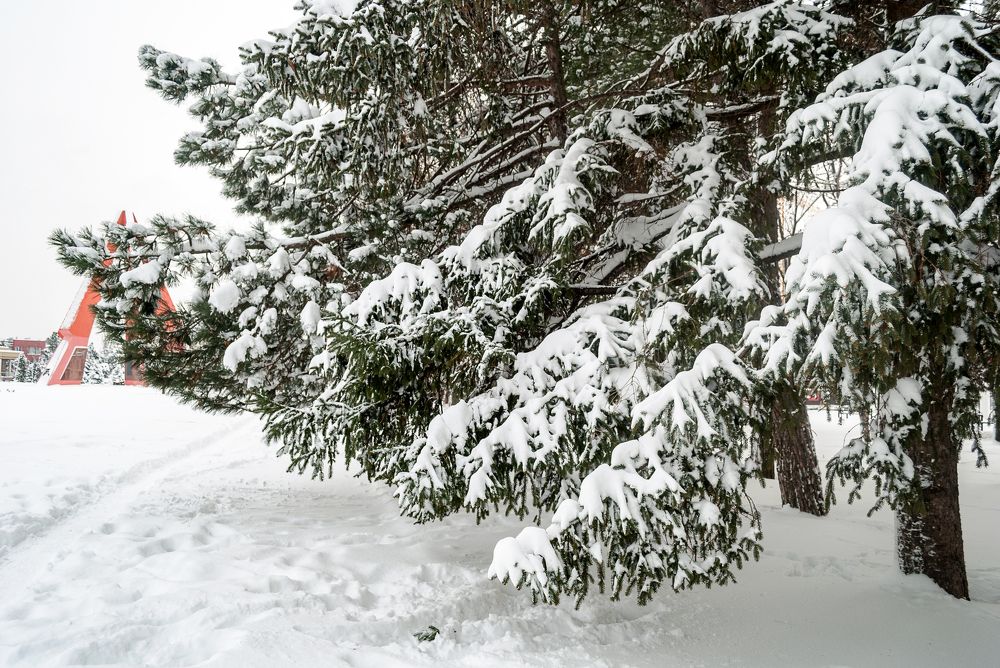 Мемориал зимой