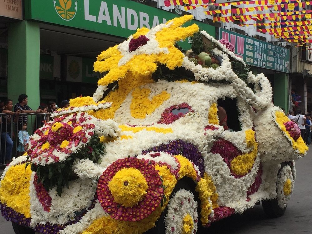 Bettle in full bloom