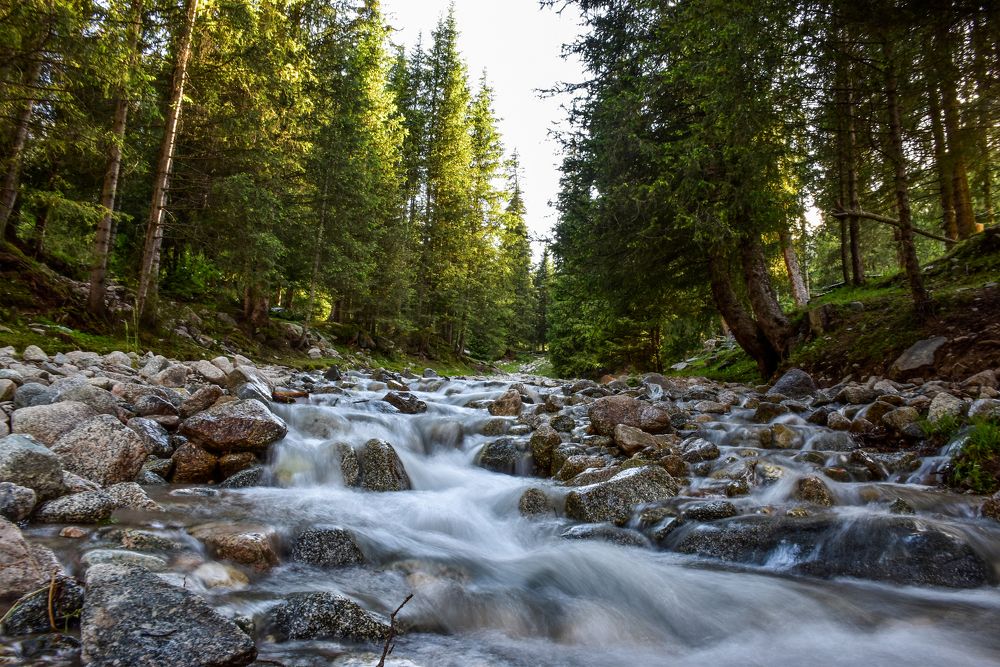 Photograph by Волков Станислав