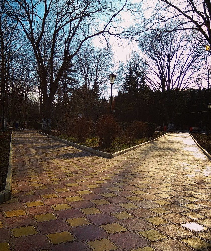 В парке