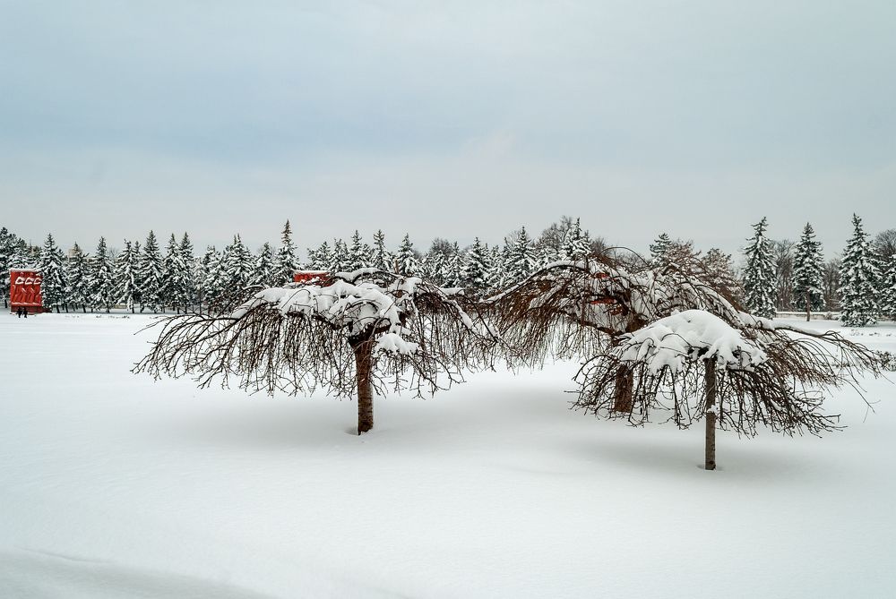 Мемориал зимой