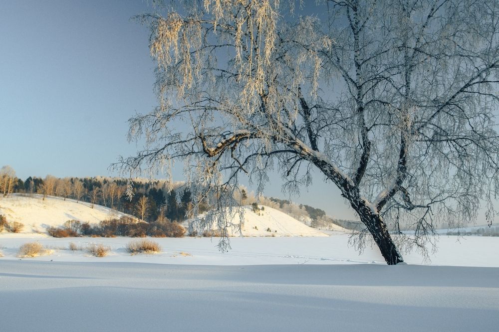 Зимняя сказка