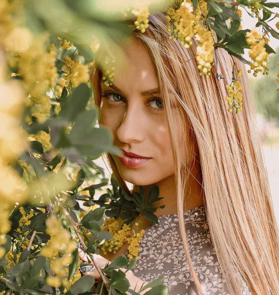 Цветение барбариса