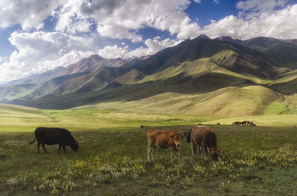 Photograph by Александр Леньков