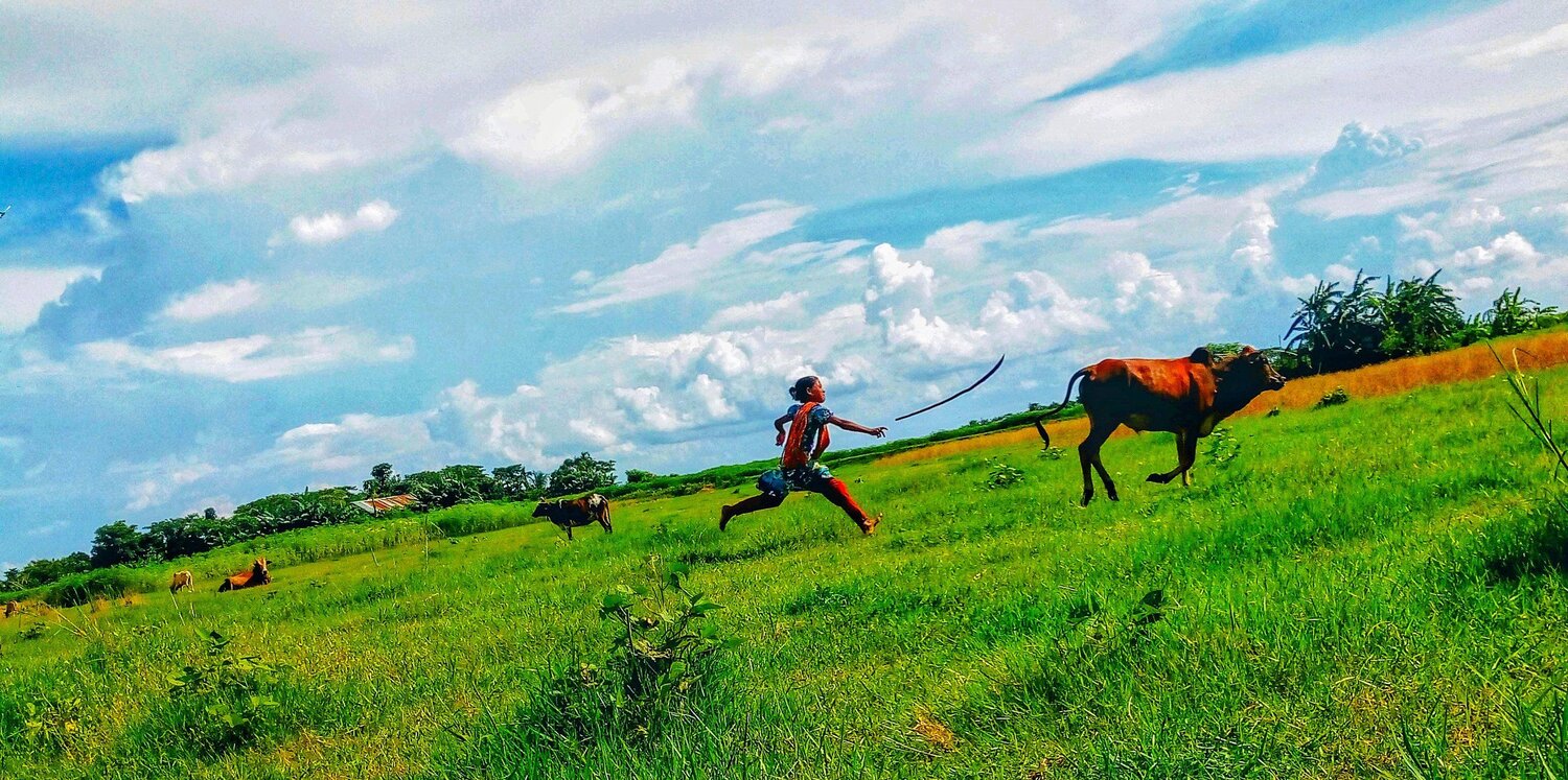 Winning the race