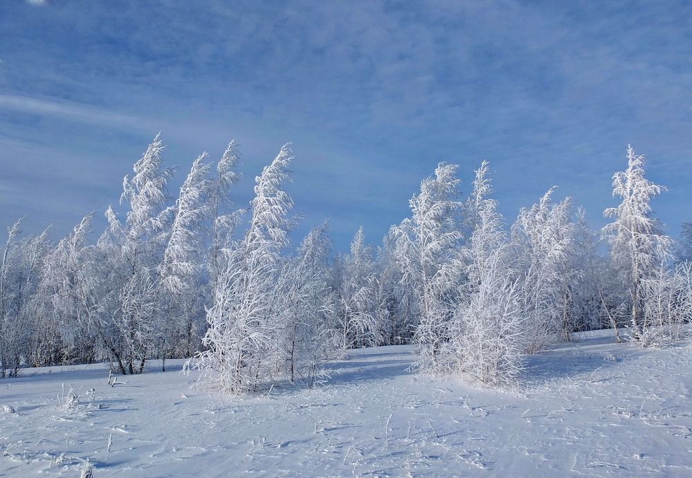 По деревьям серебристая перекинулась фата...