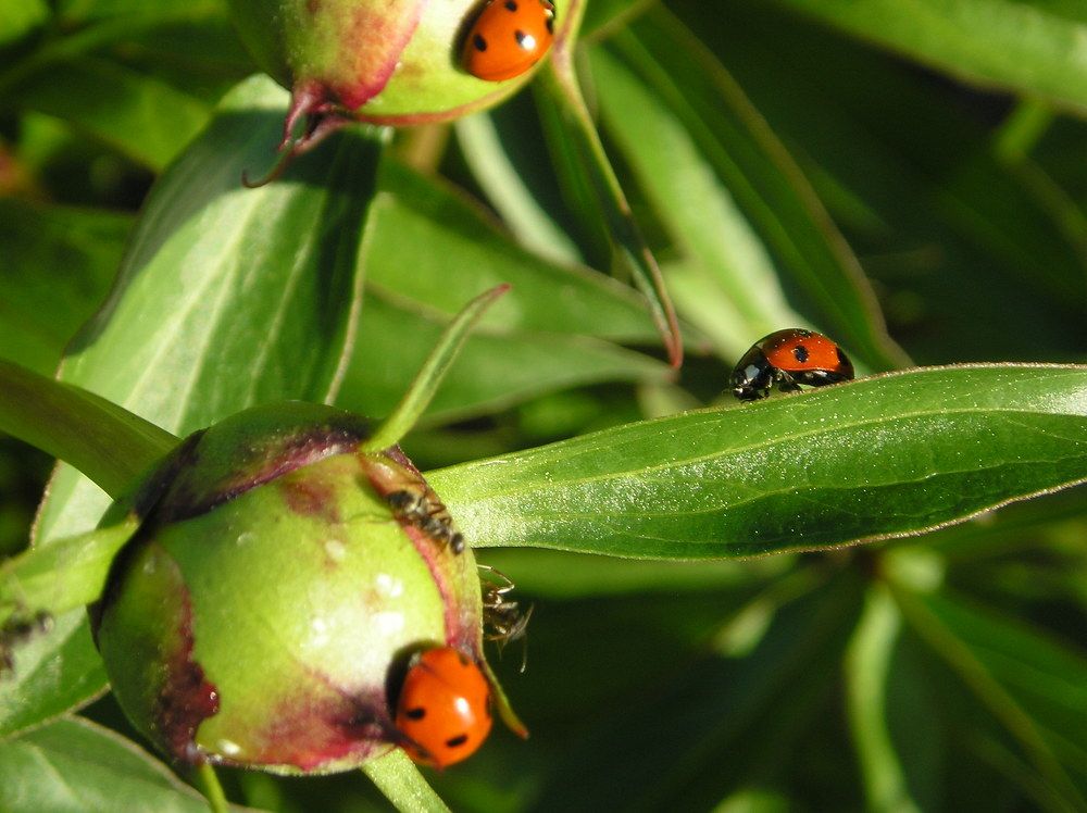 Photograph by Sofya Seredkina