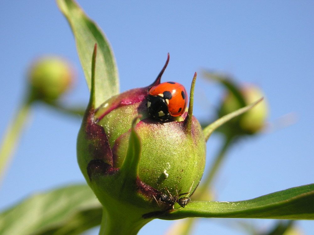 Photograph by Sofya Seredkina