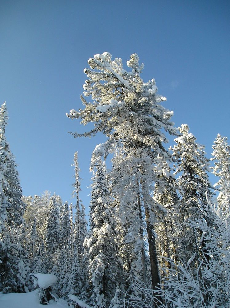 Photograph by Sofya Seredkina