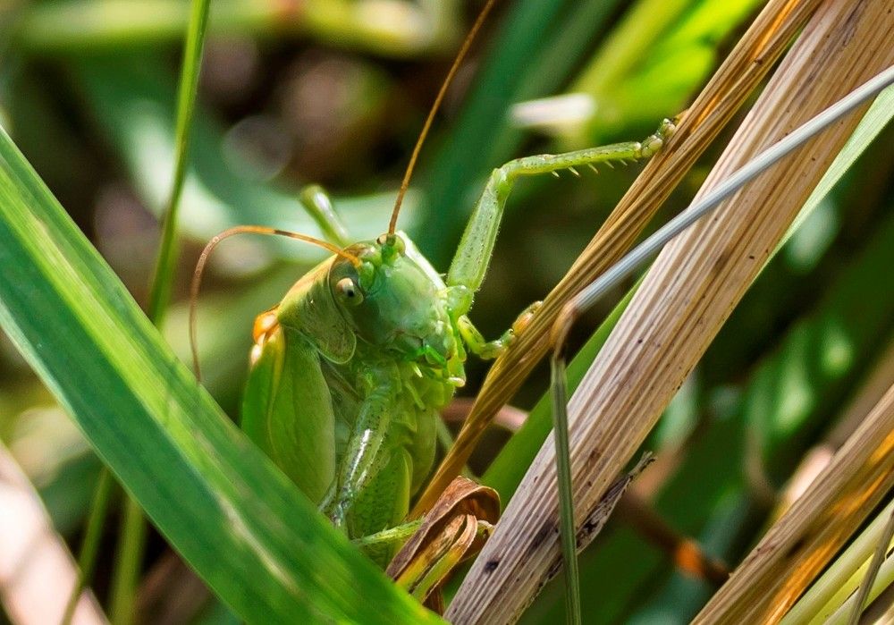 Фотография автора Владислава Андрюнина