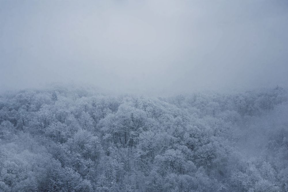 Photograph by Екатерина Соломатина