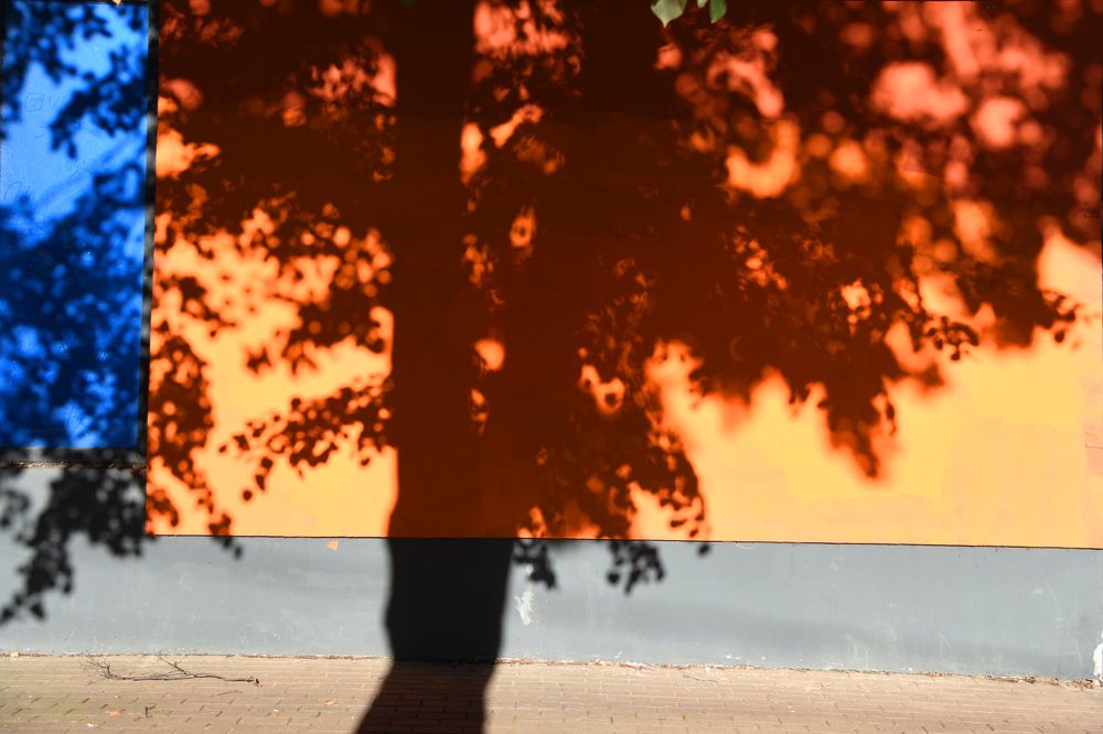 Проекция осени