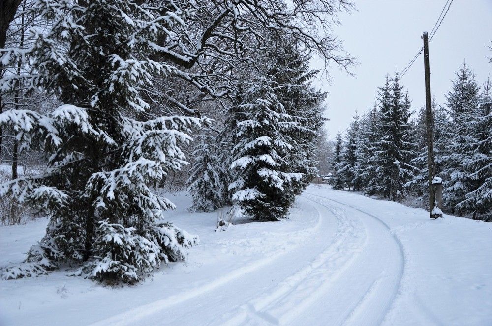 Photograph by Татьяна Василенко