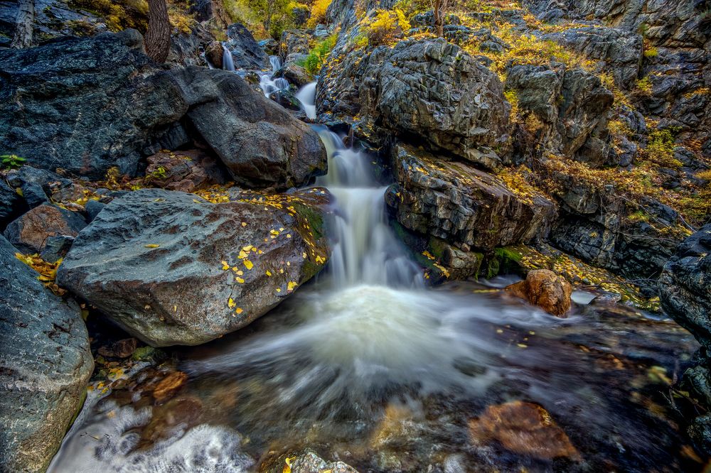 живой источник