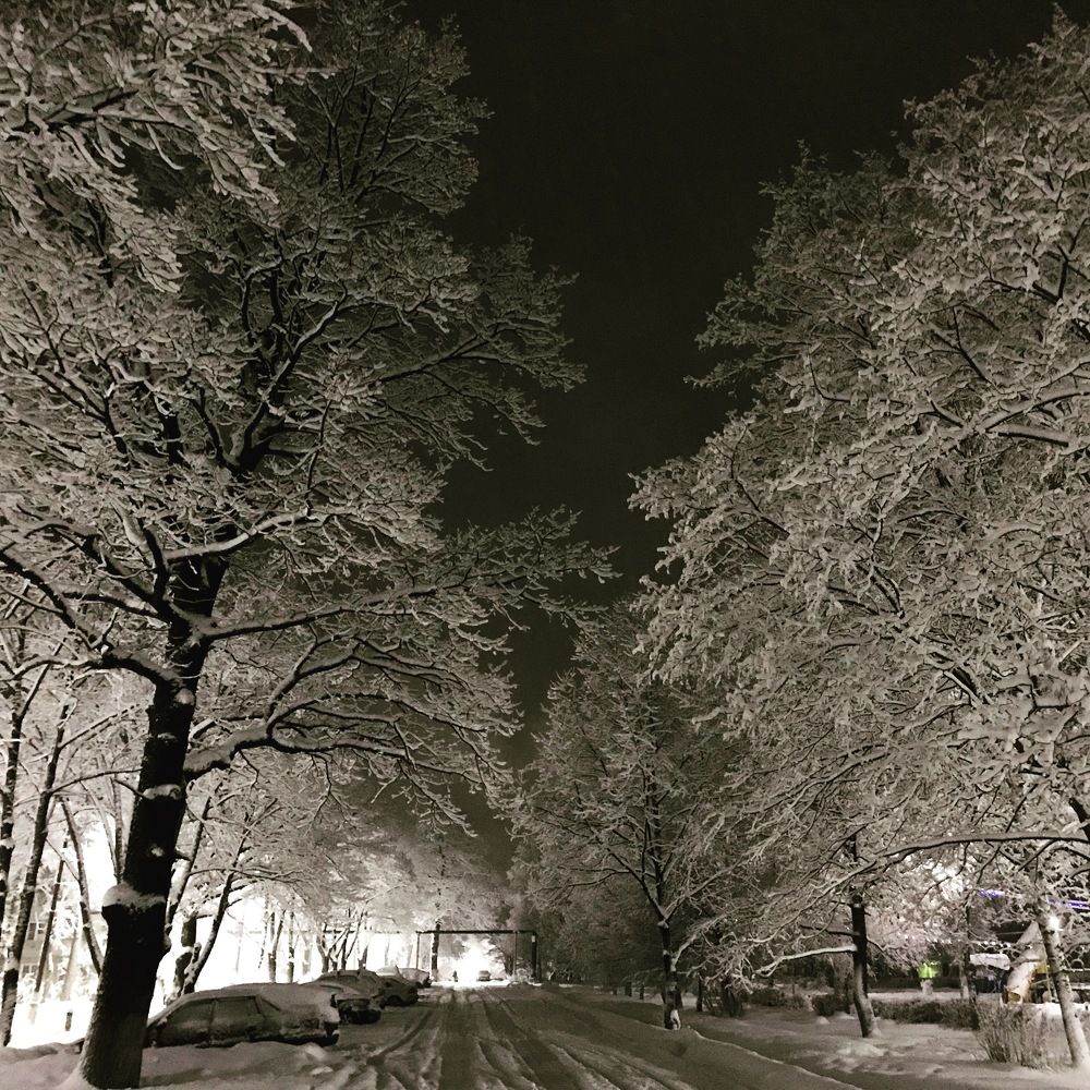 Photograph by Яна Лугинина