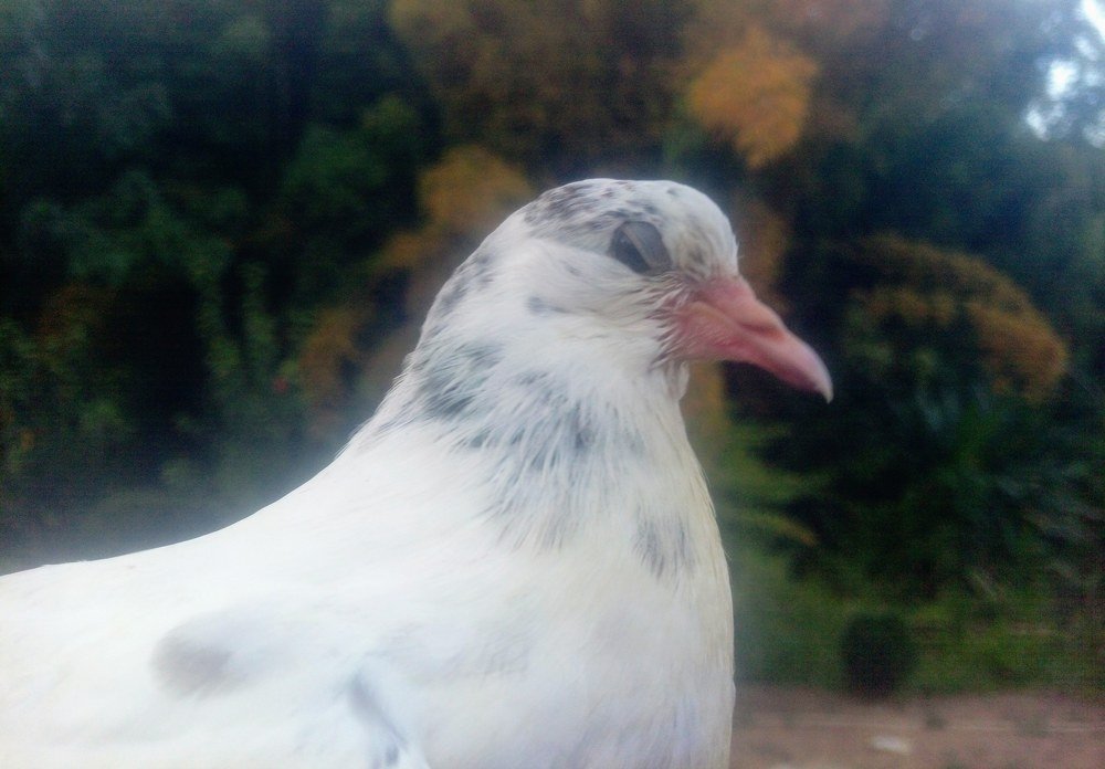 Best pic of htc 10pro