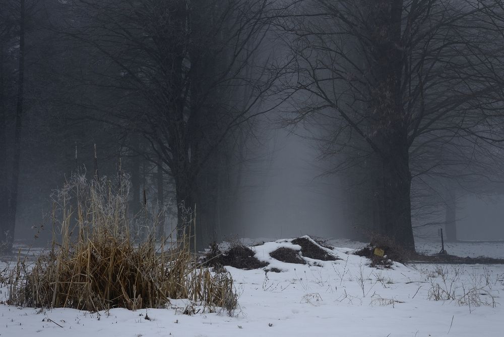 Зимнее утро