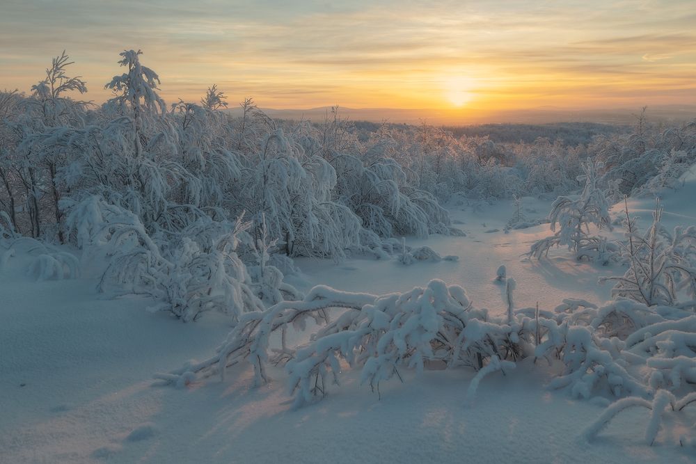 В первых лучах