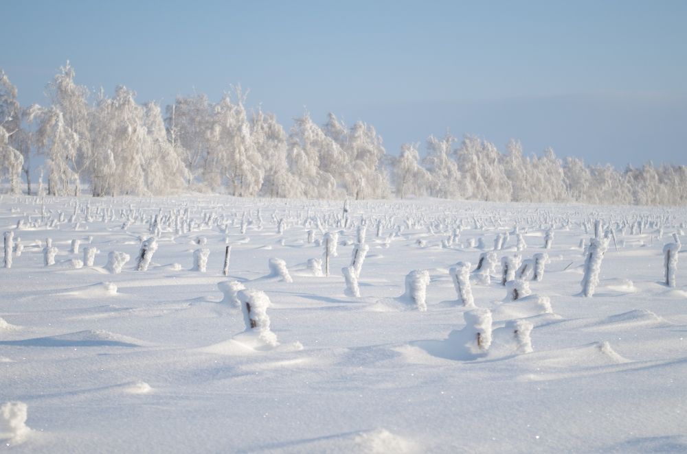 Photograph by Рушания Мышева(Валеева)
