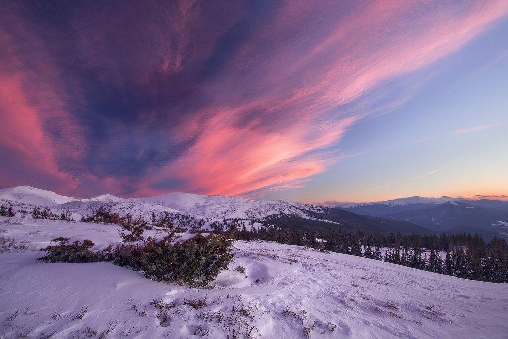 Зефирное утро...