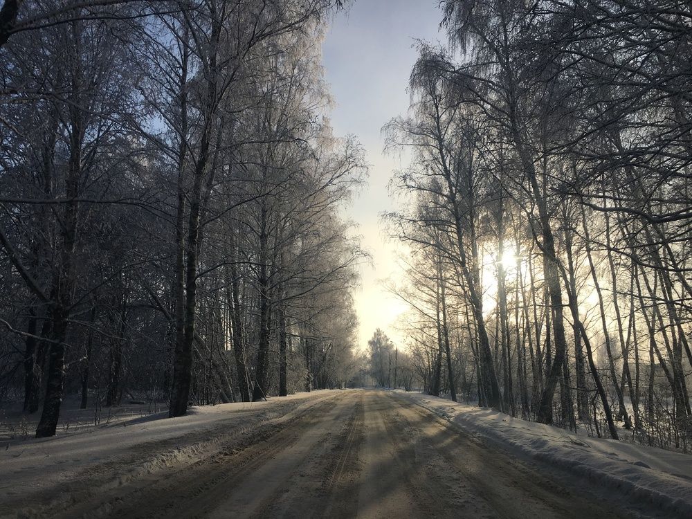Зимняя дорога