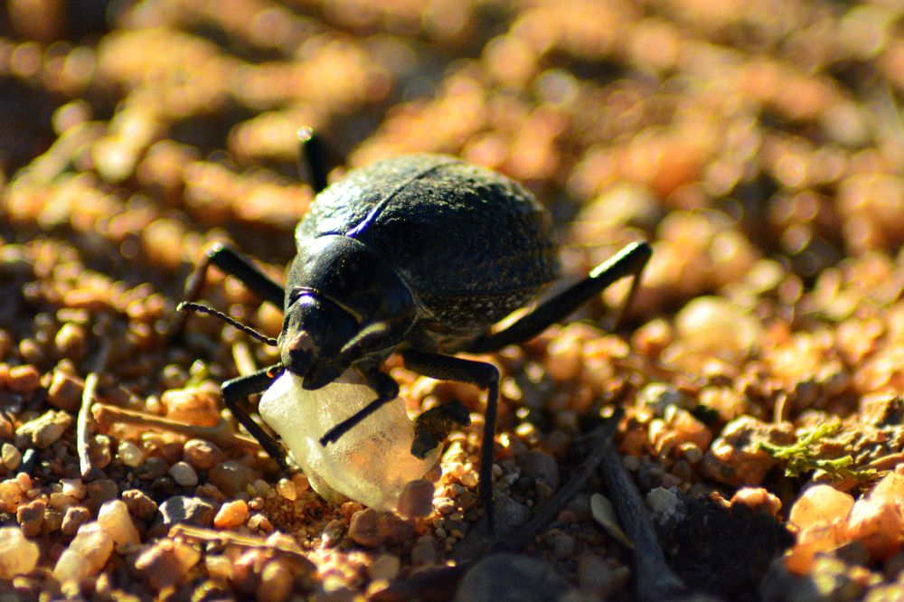 Photograph by Анатолий Орлов