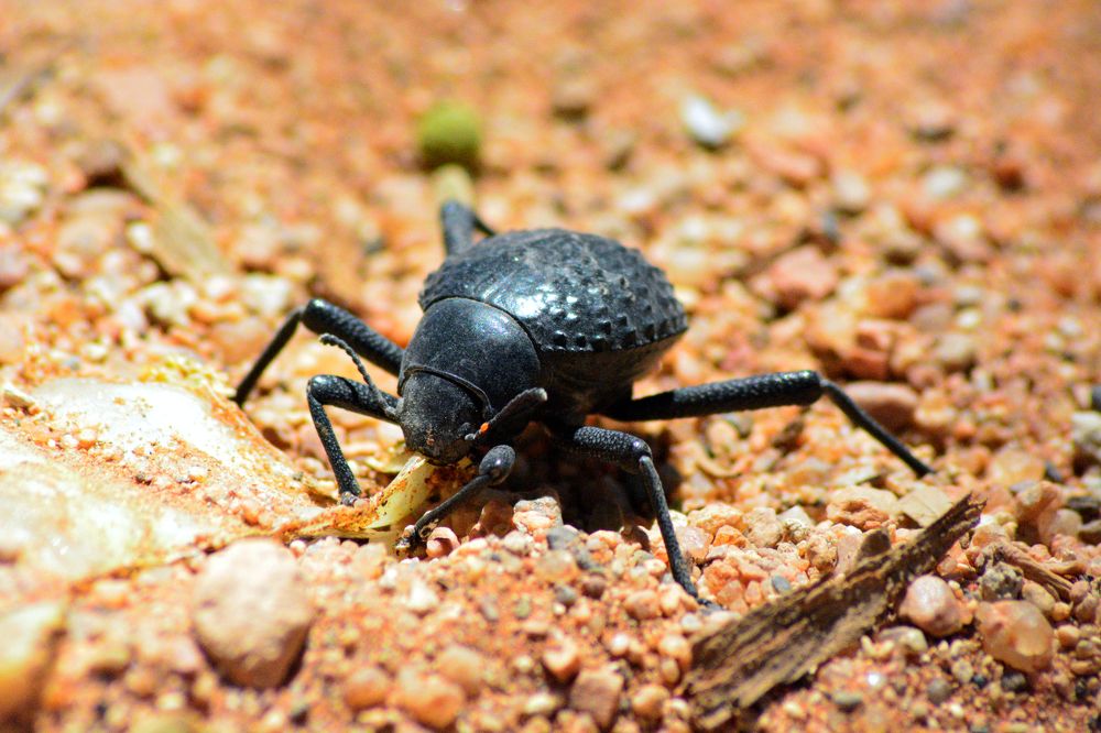 Photograph by Анатолий Орлов