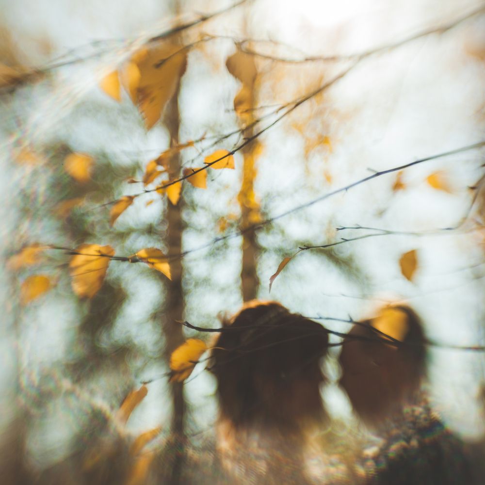 Самый теплый момент осени