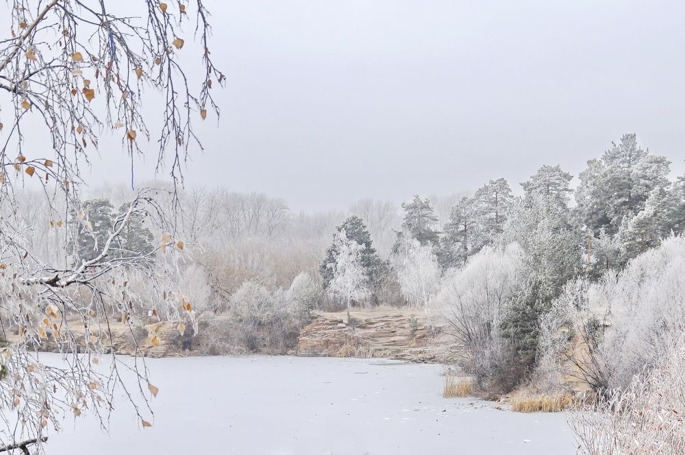 Всё замерло от мороза