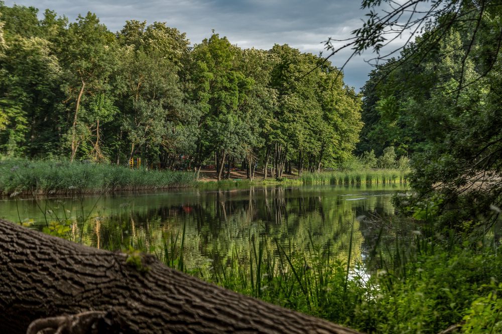 Photograph by Alisa Black