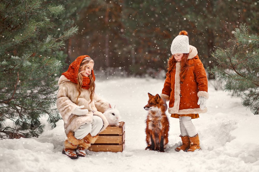 The friendship of Rabbit and Fox