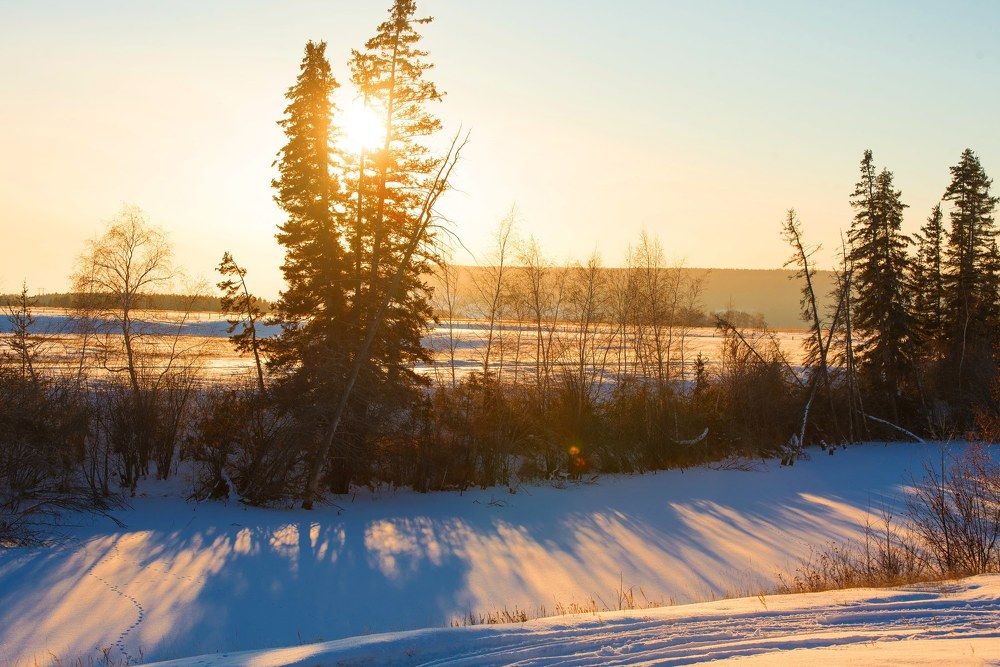 Морозное утро