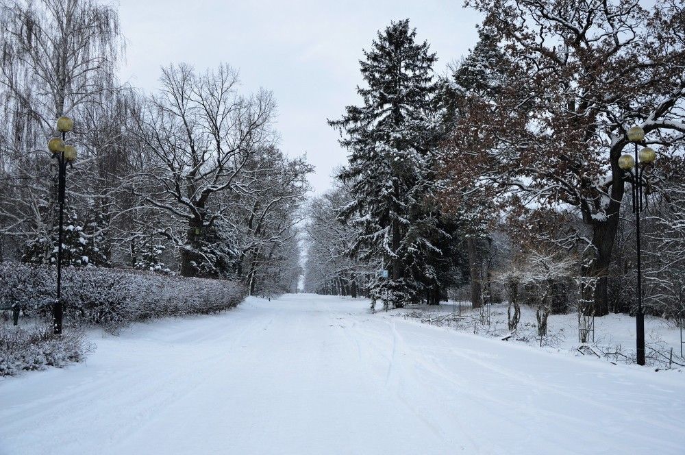 Photograph by Татьяна Василенко