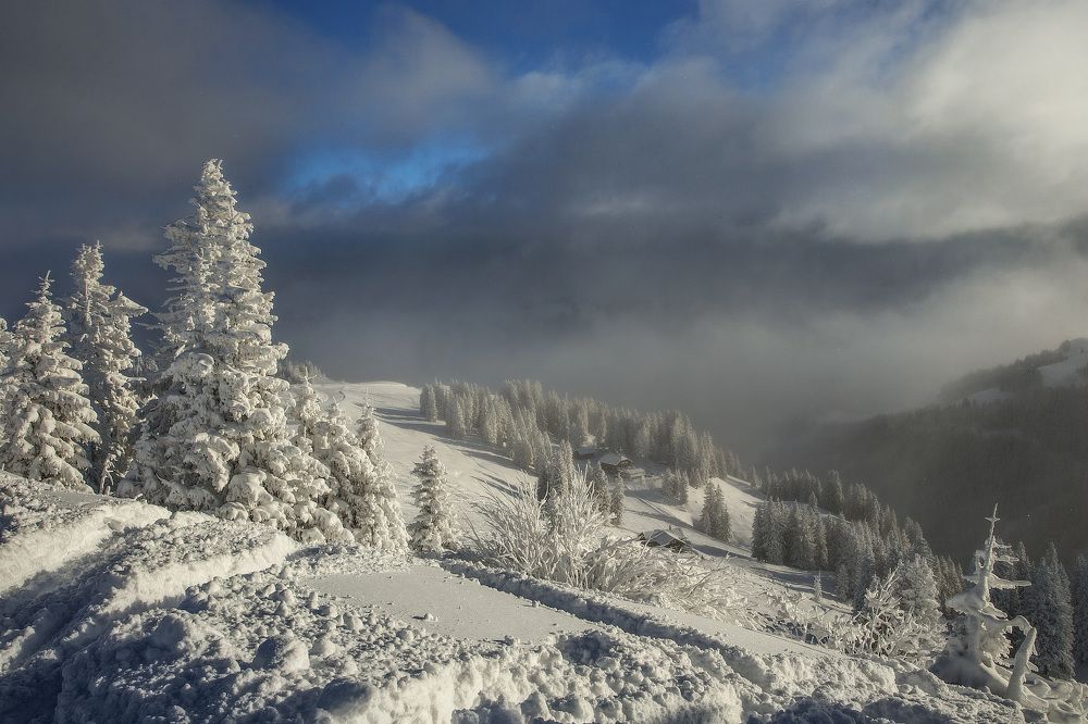 Дивное утро...