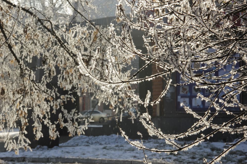 Photograph by Sofya Seredkina