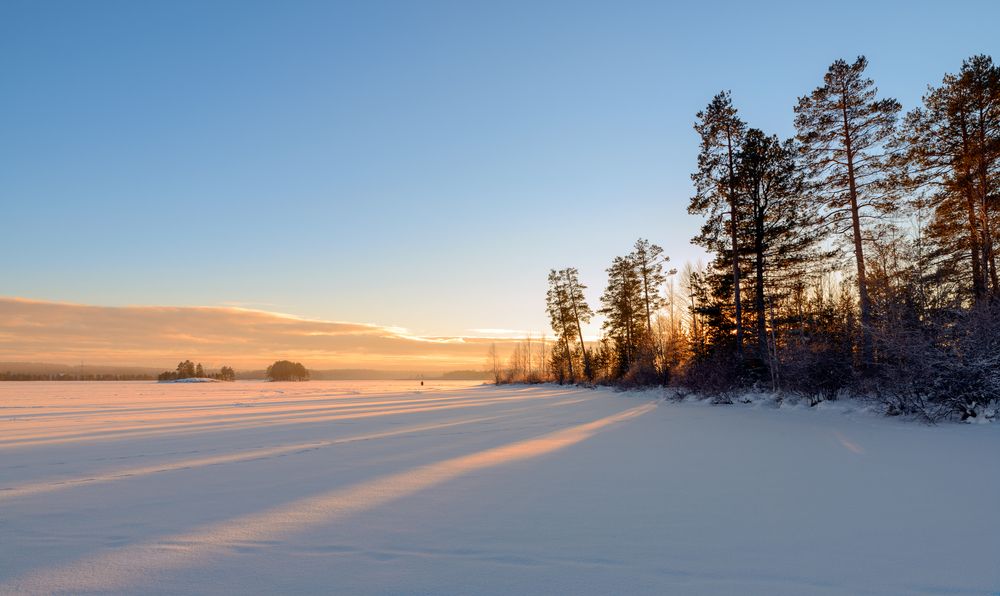Солнечный декабрь.