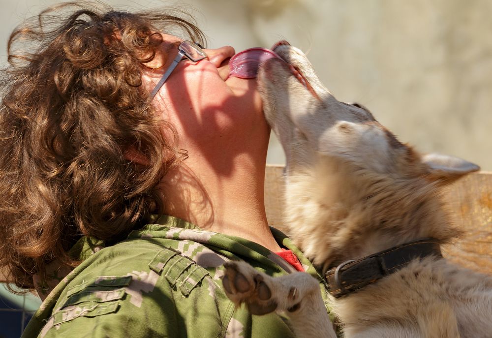 Любовь навеки