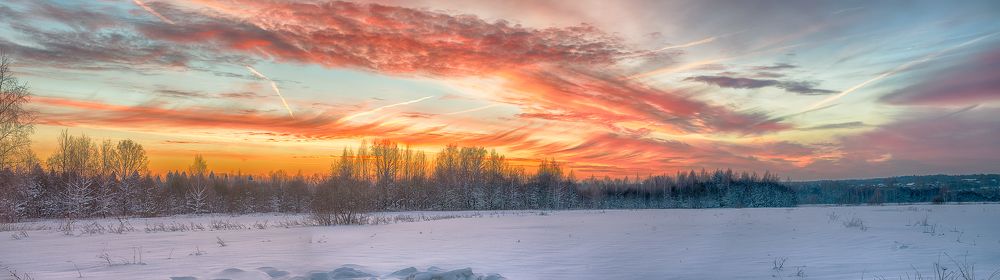 Тревожный предвестник ненастья / Troubling harbinger of bad weather