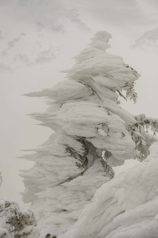 Зимние узоры