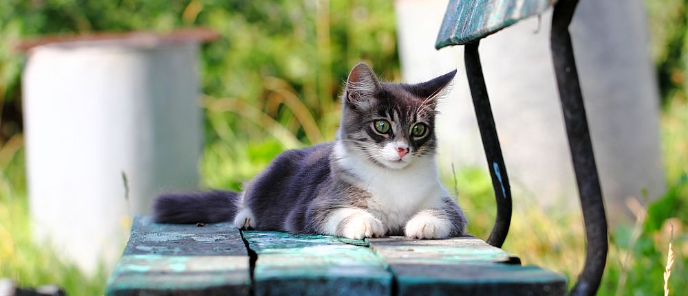 Relax, Take it Easy...